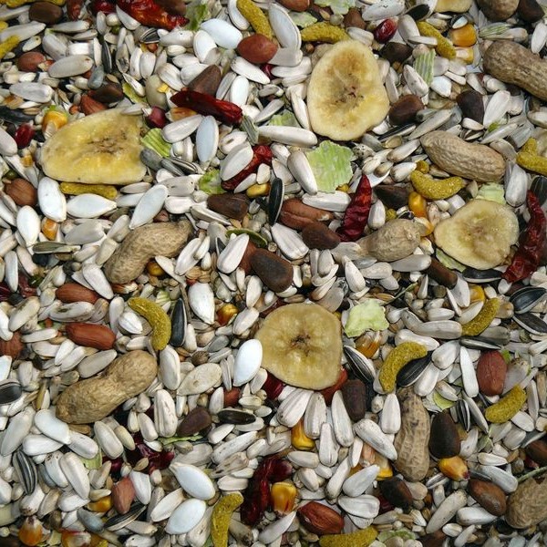 76188-1.jpg (600×600)